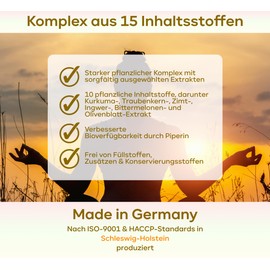 15-fach Blutzucker-Formel - 90 Kapseln - 30 Portionen mit Kurkuma Zimt Ingwer Olivenblatt OPC Bittermelone schwarzer Kreuzkümmel Chrom Piperin & 5 weiteren - vegan - ZUCKERGARDE von plantomol®