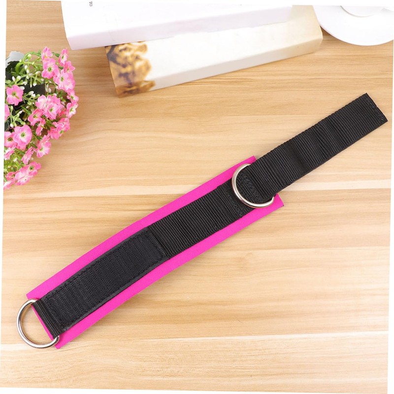 BESPORTBLE 1 Pair D Ring Leg Training Womens Gym Accessories