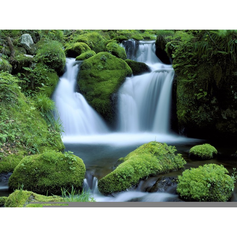 Iwaizumi Dairy Ryusendo Lotion 10.1 fl oz (300 ml)