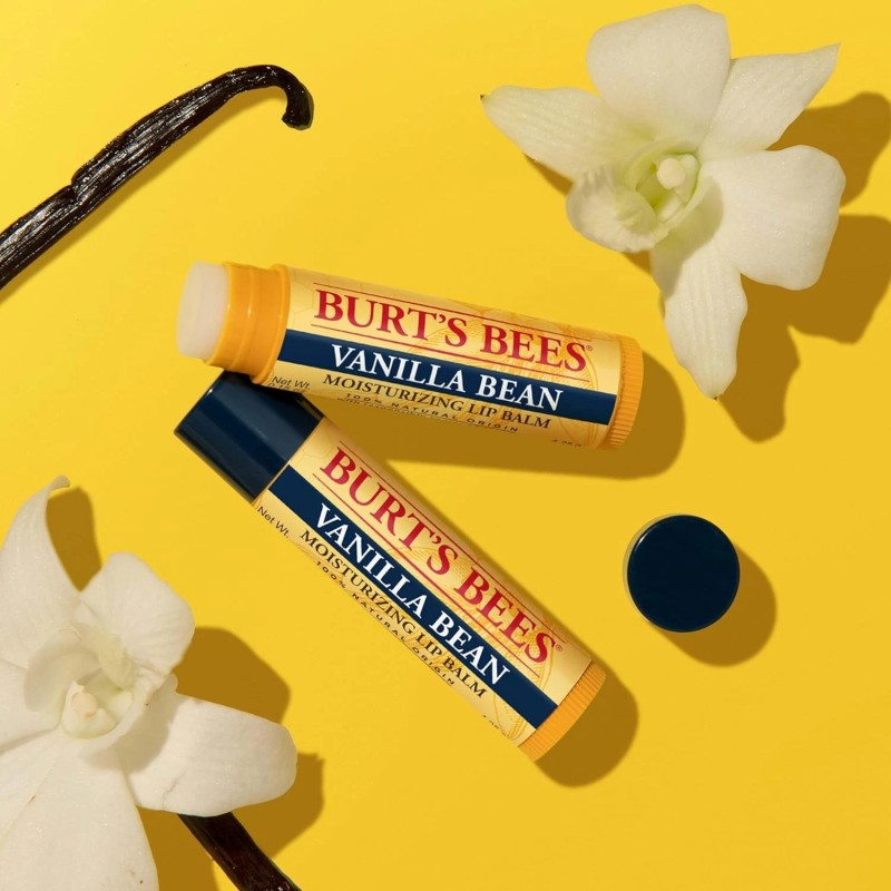Burt's Bees Lip Balm Vanilla Bean Lip Moisturizer 2 Tubes