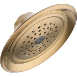 Delta RP48686CZ Single-Setting Showerhead, Champagne Bronze