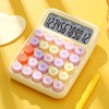 Drawzone Calculator, Stylish, 12 Digit Calculator, Large, Cute, Round Button,