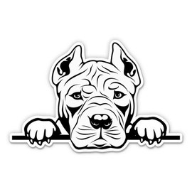Pitbull Pitbull Cutie - 12" Vinyl Sticker Waterproof Decal