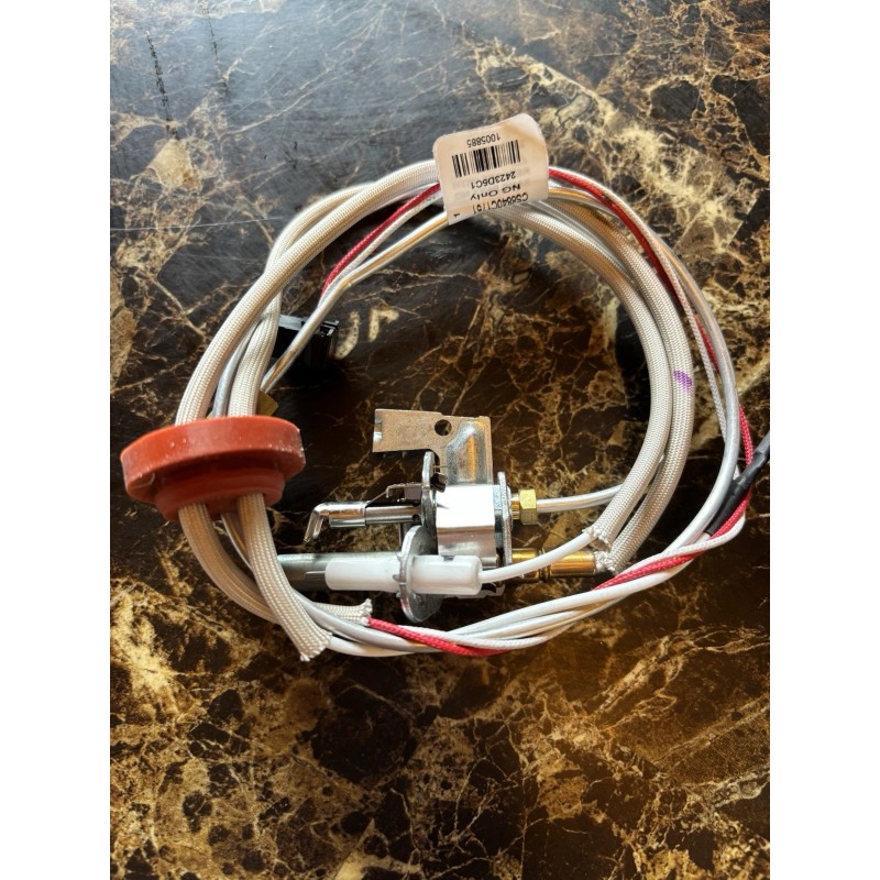 Rheem SP21058 Pilot Assembly Replacement Kit