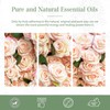 PHATOIL Rose Aroma Oil 100ml Essential Oil Pure Oil Gift