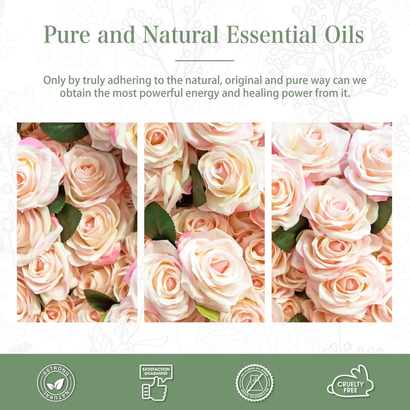 PHATOIL Rose Aroma Oil 100ml Essential Oil Pure Oil Gift