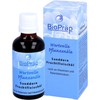 Sea Buckthorn Pulp Oil 50 ml oil