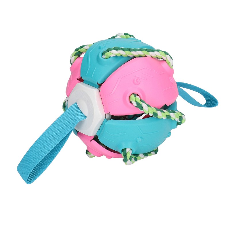 Interactive Outdoor Fly Ball Flying Saucer Ball Interesting Dog Soccer