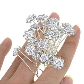 Mont Cherry 10pcs/lot Rose Flower Crystal Rhinestone Wedding Party Bridal Prom Hair Pin Hair Clips Accessory sold by Trendz (Silver)