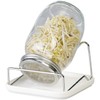 Royal Gardineer Sprouting Glass: Germination Glass with Metal Stand, Cress