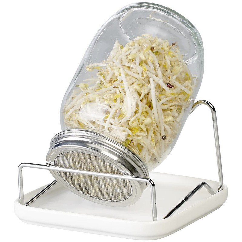 Royal Gardineer Sprouting Glass: Germination Glass with Metal Stand, Cress