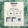 Bernat Blanket Tie Dye-Ish Lavender Yarn - 2 Pack of