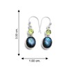 Silver Palace Sterling Silver Natural Labradorite,Peridot Drop Dangle Earrings for