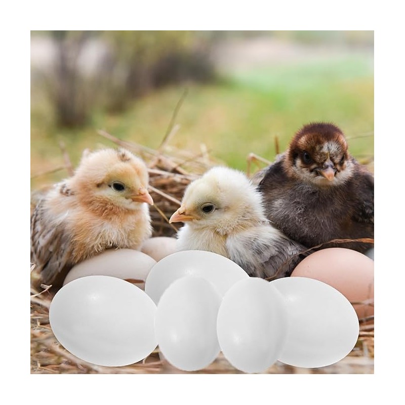 WEZCHUGHAOL 10 Fake Bird Eggs, Pigeons That Have Stopped Laying,