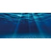 AWERT 30x18 inches Ocean Floor Aquarium Background Undersea Theme Aquarium