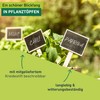 Windhager Stick-on Labels with Chalkboard, Plant Labels, Plant Stakes, Wooden