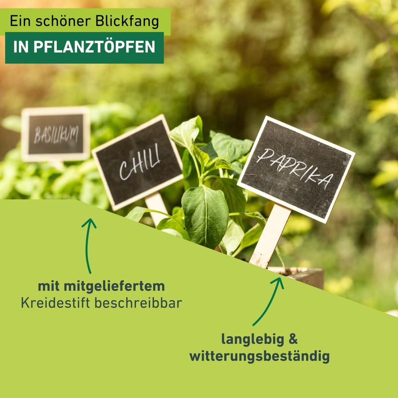 Windhager Stick-on Labels with Chalkboard, Plant Labels, Plant Stakes, Wooden