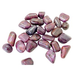 CRIGEMA - 1 Piece Cut Stone for Healing Stones Reiki 10-15mm (Rabbin)