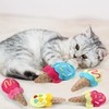 Justforjoyful 6Pcs Cat Catnip Toys Ice Cream Catnip Toys Kitten