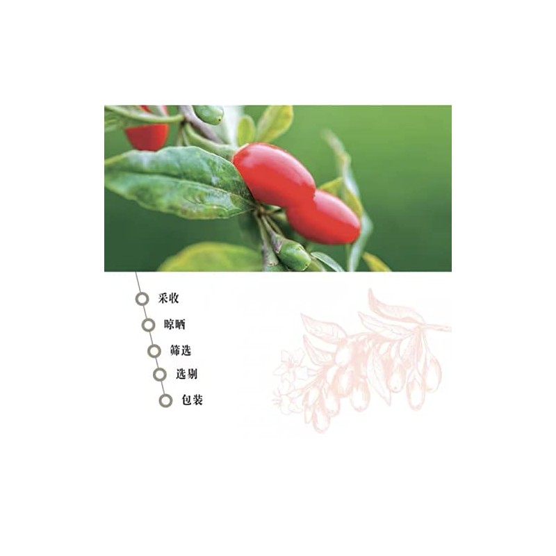 Lycii Fructus 枸杞浆果 特级红枸杞 枸杞子 超贡枸杞 8oz