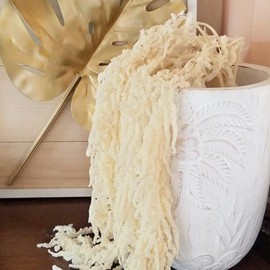 5 Pcs Cream White Hanging Amaranthus, 23" Preserved Cascading Flowers