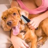 Cat Dog's Flea Comb, Flea Comb to Remove Long Hair,