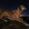 VavoPaw Dog Seat Belt Harness for Car, Dog Car Harness