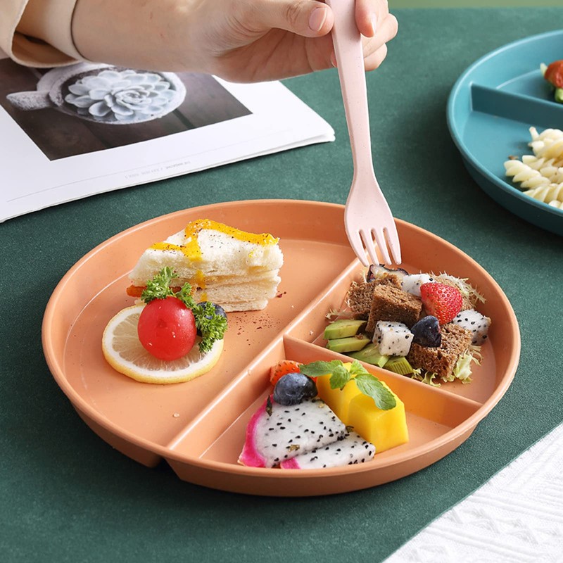 Soptalles 9 Inch Portion Control Plates Set, 4 Pcs Divided