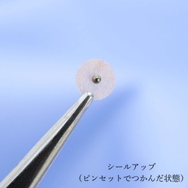 Peak Pine Ear Urn Seal, Made in Japan, Skin Color, Pure Titanium Grain, 20 Pieces, Large 0.06 inch (1.6 mm) Ball, Ear Urn Jewelry, Takachiho Metal