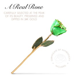 Forever Rose Bloom Box Bundle, 24K Gold Dipped Peridot Sparkle Rose, The August Birthstone, Real 24k Gold Dipped Rose, Hand Dipped, 11" to 12" in a Beautiful Phantom Vase and Blooming Box