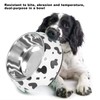Dog Food and Water Bowl AntiSlip Base Stainless Steel Pet