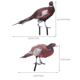BESPORTBLE 2Pcs Acrylic Pheasant Garden Stakes - Double-Sided Uv Printed Decorative Animal Ornaments for Outdoor Lawn, Courtyard, and Pond Decor