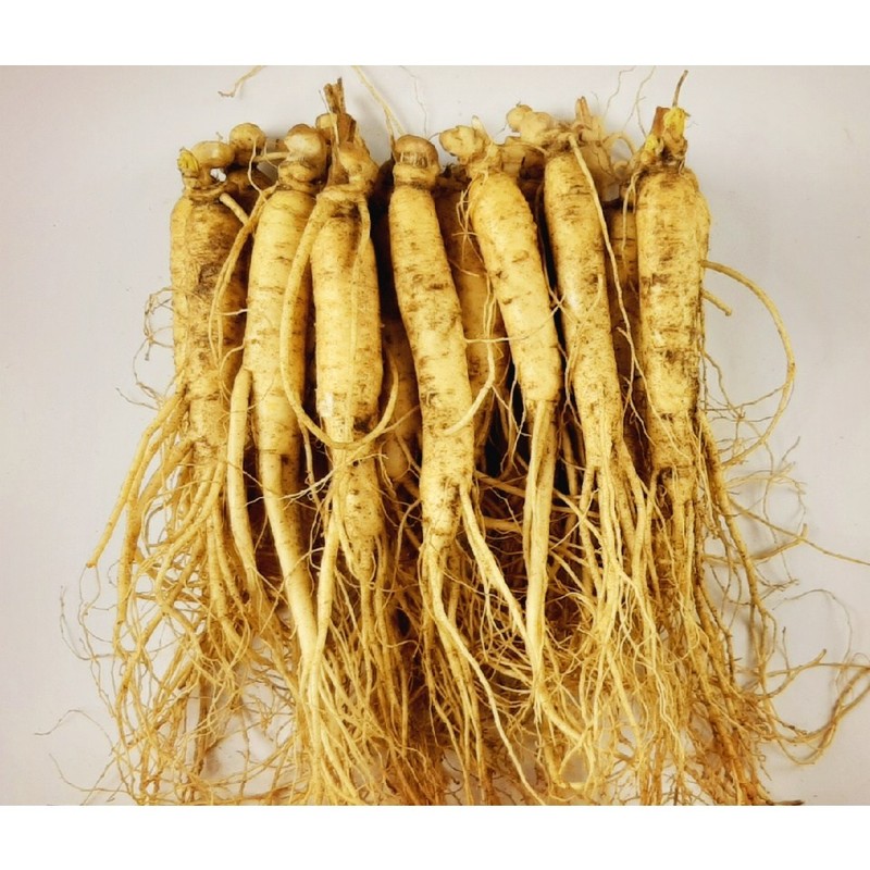 국내산 5년근 인삼 12-15뿌리 금산인삼 Domestic 5-Year-Old Ginseng 12-15 Roots