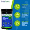 Generic Test Strips 50 Count for Use with OneTouch Ultra,