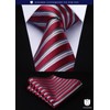 HISDERN TA5-01S Set of 5 Ties and Pocket Squares for