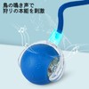 Bateruni Cat Ball Toy, Automatic Rotation, Glowing Up with Simulation