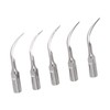 5pcs P1 Dental Clean Machine Tip Stainless Steel Heat Resistance