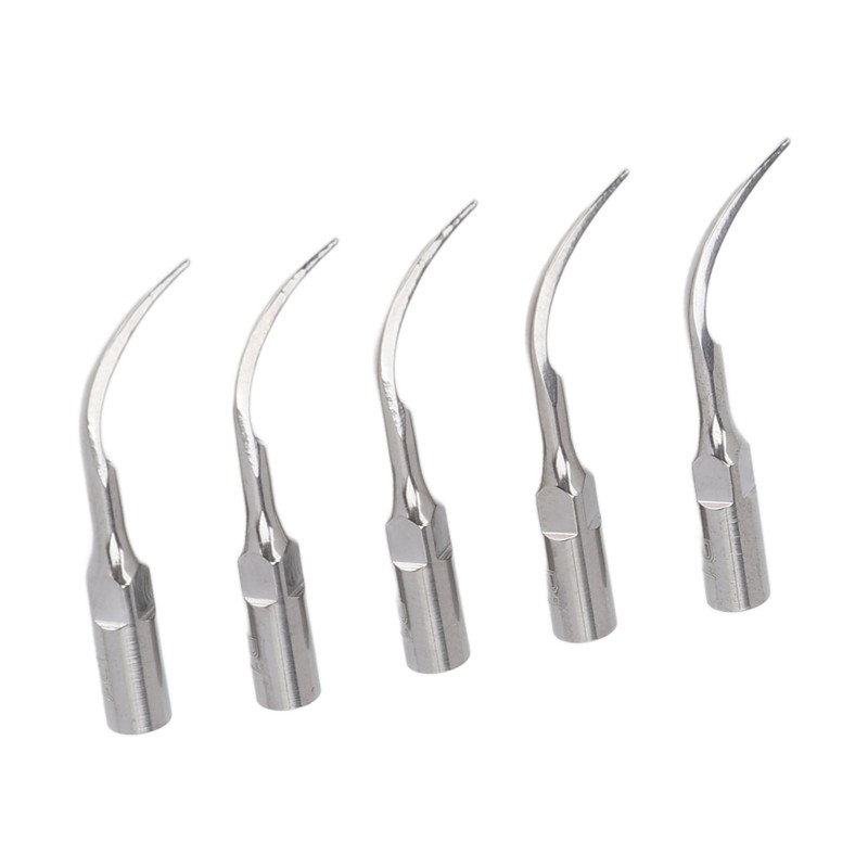 5pcs P1 Dental Clean Machine Tip Stainless Steel Heat Resistance