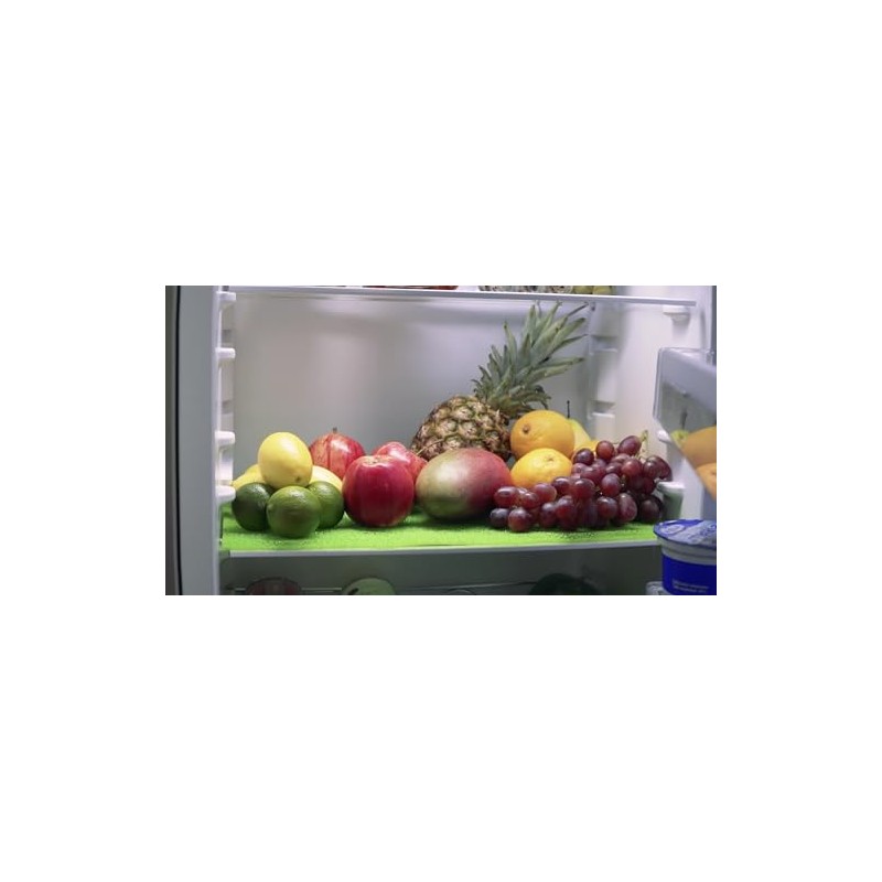 Tescoma 4FOOD Fridge Mat 47 x 30 cm, Pack of