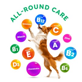 Dog Vitamins and Supplements - 150 Dog Multivitamin Chewable - Immune, Joint Support, Skin, Gut Health + Packed with Omega 3s, Glucosamine & Probiotics - Safe for Puppy - Chicken