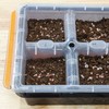 Microgreen Potting Soil Mix (4 Quarts), Ideal for Germination and