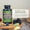 Gade Nutrition Resveratrol Berberine Quercetin Grape Seed Extract Green Tea
