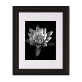 Set of 2-16x20 Classic Curved Picture Frame with Clear Glass and Single White Mat for 12x16 Image (2)