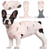 Kuoser Recovery Suit for Dogs Cats After Surgery, Professional Pet