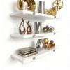 3-Pack Floating Shelves with Acrylic Anti-Fall Lip, Modern Wall Mounted
