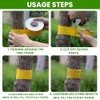 2 Rolls Double-Sided Yellow Sticky Tree Tape 2 Inch Wide