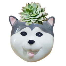 Cuteforyou Cute Cartoon Corgi Husky Pug Schnauzer Akita Dog Bulldog Shaped Succulent Cactus Plant Pots for Home Garden Office Desktop Decoration (Husky)