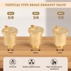 LALAGO Automatic Quick Bleeder DN15 1/2 Inch Bleed Valve, Brass