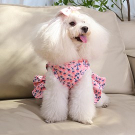 CuteBone Two Piece Dog Sports Dress Athleisure Puppy Skirt Lightweight Small Dogs Girl Clothes Cat Apparel SPS10M