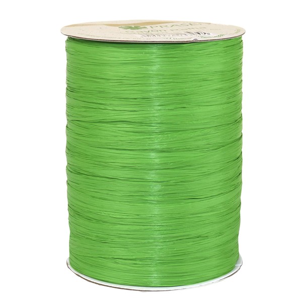 PRÄSENT C.E. Pattberg Rayon Raffia Ribbon, Apple Green, 100 m Gift Ribbon for Wrapping, Craft Ribbon for Gifts, Accessories for Decorating & Crafts